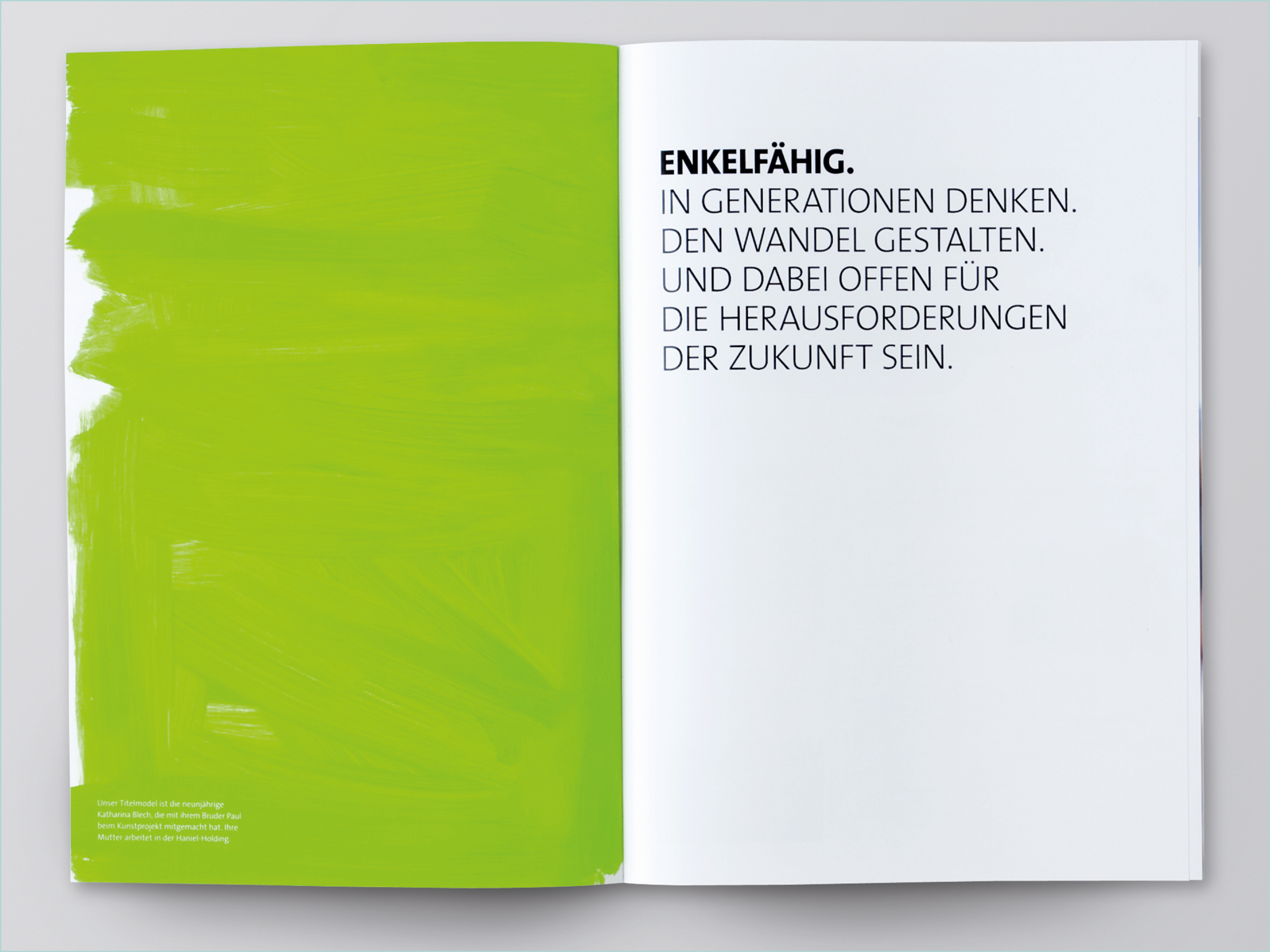 Haniel – Annual Report – Poarangan Brand Design4